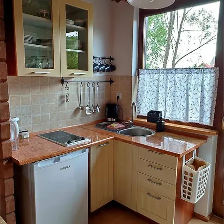 Lemkowska Izba Apartment Wysowa-Zdroj Exterior photo